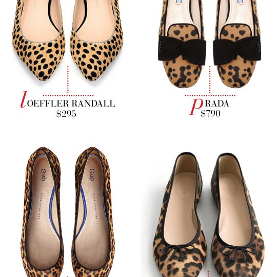 Thanks Mizhattan for Leopard Print Shoes