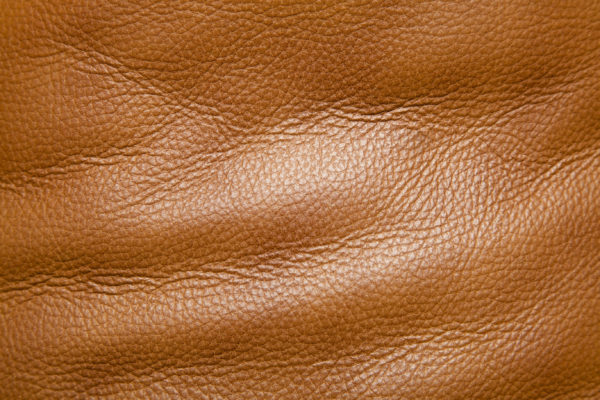 Fabric Care: Leather