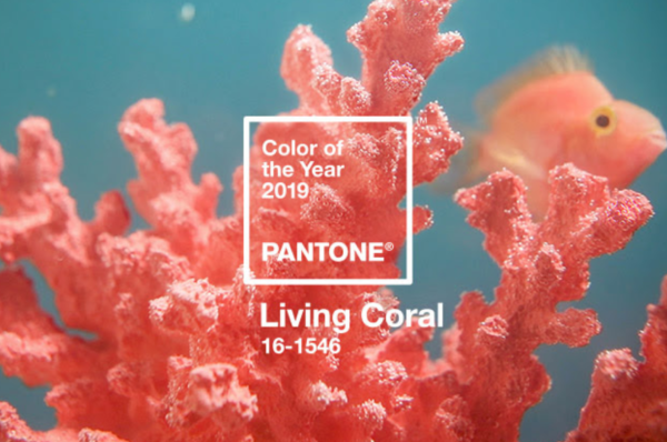 “living” coral is pantone’s 2019 color of the year